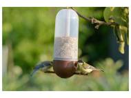 Distributeur de nourriture pour
