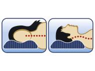 LIVARNO home Oreiller cervical anti-acariens, Livarno home, ...