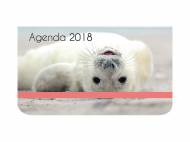 Agenda 2018