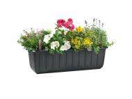 Jardinière avec
