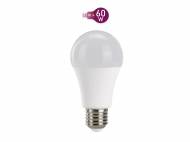 Ampoules LED
