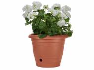 Pot de fleurs