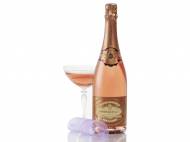 Champagne Brut Rosé Bissinger & co AOC1 , prezzo 16,99 ...