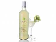 Cocktail Mojito1