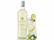 Cocktail Margarita1