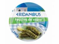 Feuilles de vigne1
