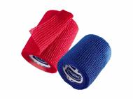 Bandes ou compresses1