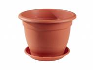 Pot de fleurs avec