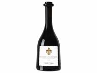 Saumur Champigny