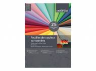 Feuilles de couleur