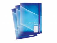 3 cahiers , prezzo 1.10 € per Le lot au choix
- Env. 21 ...