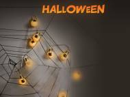 Guirlande lumineuse d’Halloween , le prix 2.49 €
- Usage ...