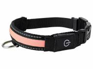 Collier pour chien à LED col illuminé