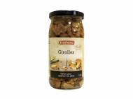 Girolles