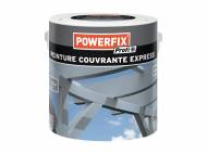 Peinture express couvrante
