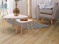 Tables gigognes , le prix 29.99 €
- Env. 39,5 x 63,5 x 60 ...