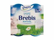Yaourt nature au lait de brebis , le prix 1.98 €
Caractéristiques
- ...