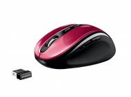 Souris optique sans