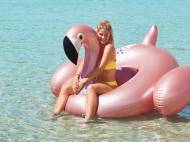 Pégase, flamant ou toucan gonflable