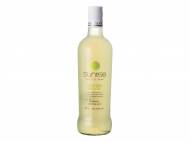 Mojito ou Piña Colada , prezzo 4.59 € per 70 cl, 1 L = 6,56 ...