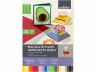 Bloc de carton ou papier de couleur , le prix 1.99 €
Au ...