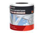 Peinture couvrante express