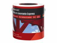 Peinture couvrante express