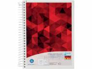 Cahier ou bloc-notes à spirales