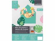 Bloc de carton ou de papier à dessin de couleurs chez