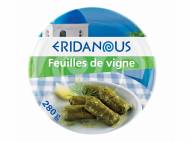 Feuilles de vigne1