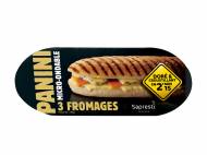 Panini1
