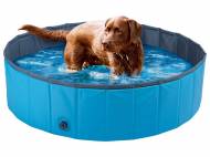 Piscine pour chien