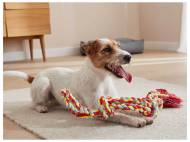 Jouet pour chien