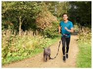 Laisse de jogging, pour vélo ou laisse longe