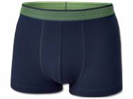 Boxers
