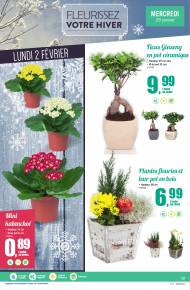 Fleures