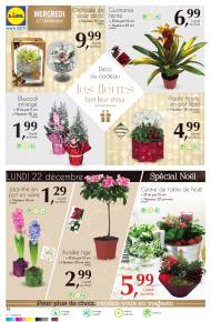 Fleurs et plantes