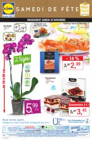 Orchidee
