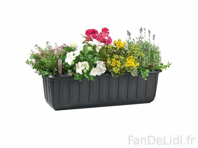 Jardinière avec niveau d’eau , prezzo 4.99 &#8364; per L&apos;unité ...