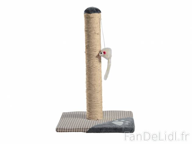 Tunnel de jeu, arbre à chat ou griffoir pour chat , prezzo 7.99 € 
- Au choix ...