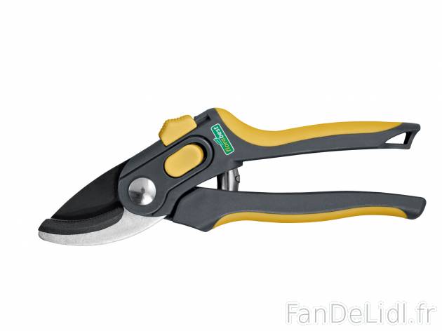 Sécateur à enclume ou bypass , prezzo 3.99 € 
- Lames en acier carbone affûté
- ...