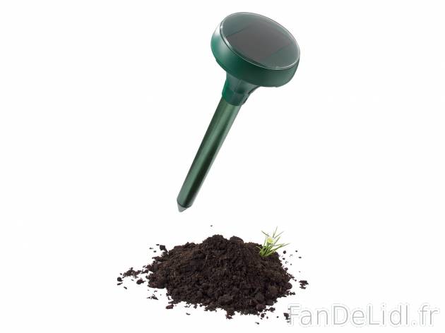 Anti-taupes solaire , prezzo 11.99 € 
- Fonctionnement à l’énergie solaire ...