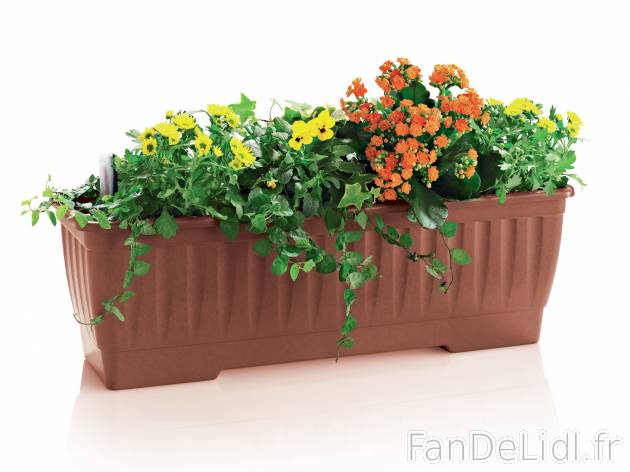 Jardinière avec réserve d’eau , prezzo 4.99 € 
- Affichage du niveau d’eau
- ...