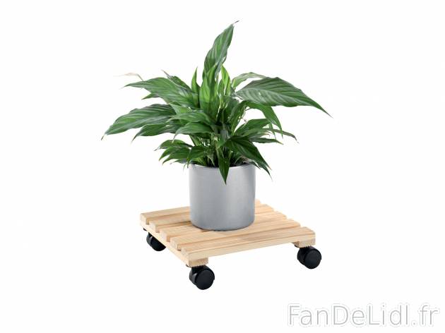 Support roulant pour plantes , prezzo 4.99 € 
- Au choix : env. 35 x 6 cm (Ø ...