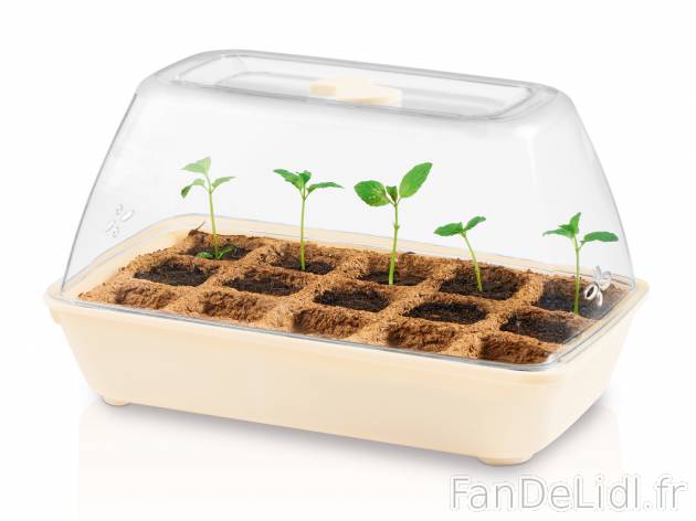 Mini-serre , le prix 6.99 € 
- Au choix : mini-serre 