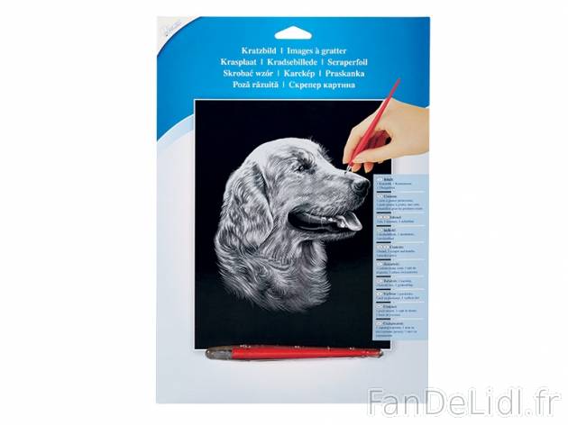 Cartes à gratter d&#039;argent ou peinture par numéro , prezzo 3,99 &#8364; ...