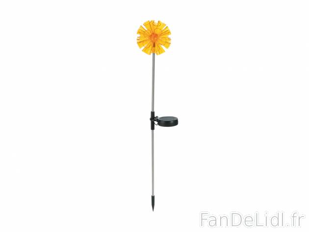 Lampe solaire décorative , le prix 4.99 € 
- Pour le jardin, la terrasse ou ...