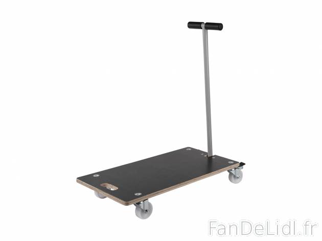 Chariot de transport , le prix 19.99 € 
- 250 kg max.
- 4 roulettes - dont 2 ...