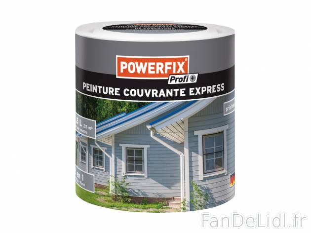 Peinture couvrante express , le prix 13.99 € 
- Env. 2,5 L
- 2 en 1 : vernis ...