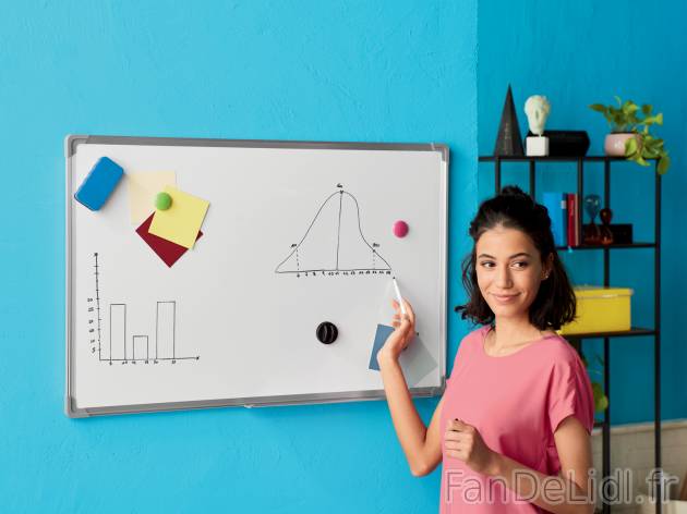Tableau blanc magnétique , le prix 16.99 € 
- 3 aimants de couleur, 1 tampon ...